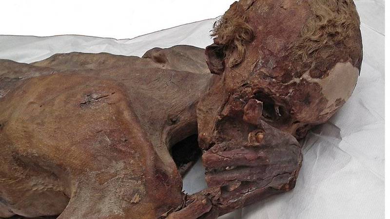 Múmias de filhote de leão são encontradas em grande descoberta no Egito