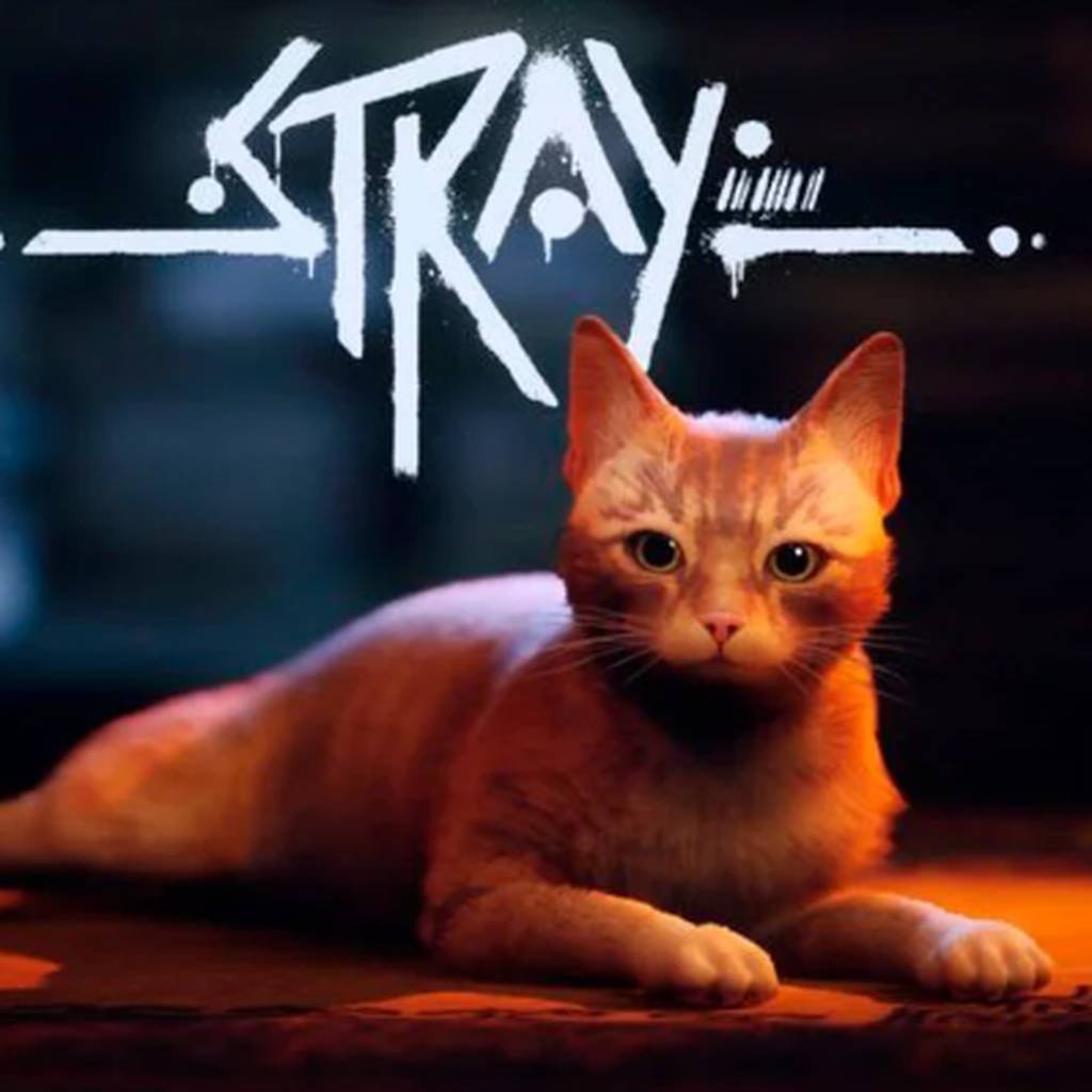 Stray é a face de novas iniciativas caridosas para salvar a vida de gatos