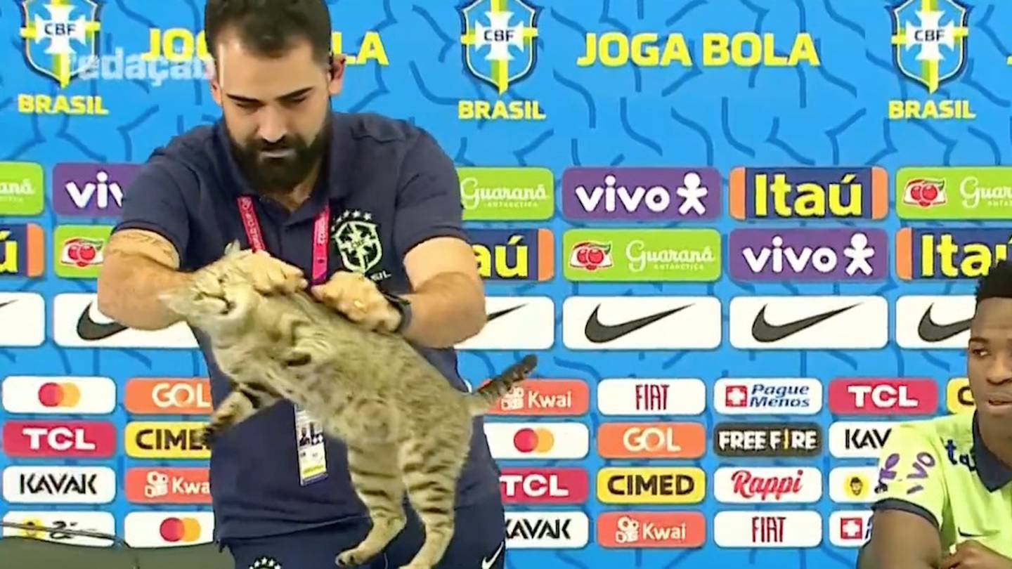 Gato viraliza após invadir entrevista de Vini Junior na seleção