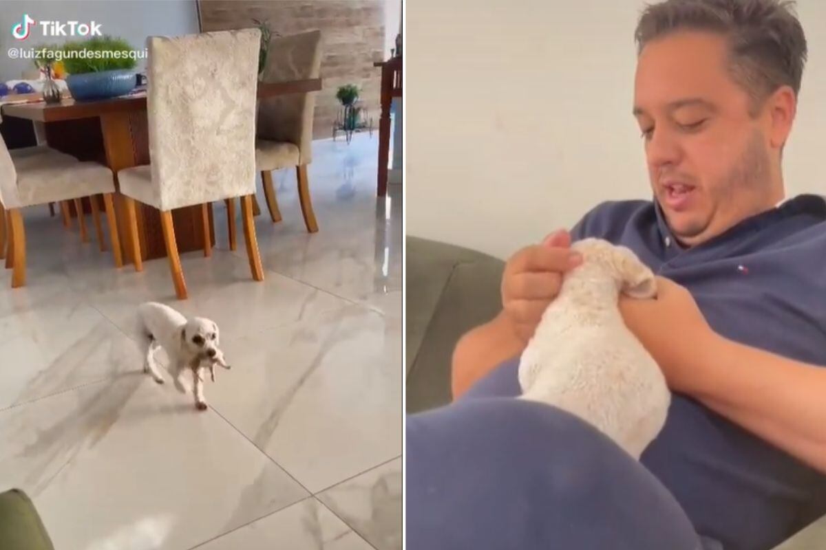 Cães de Caça: conheça o dorama da Netflix que viralizou no TikTok
