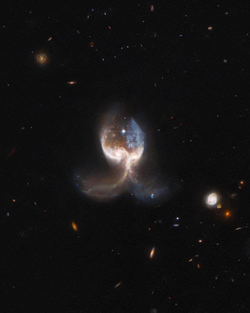 Angel Wing NASA/ESA Hubble