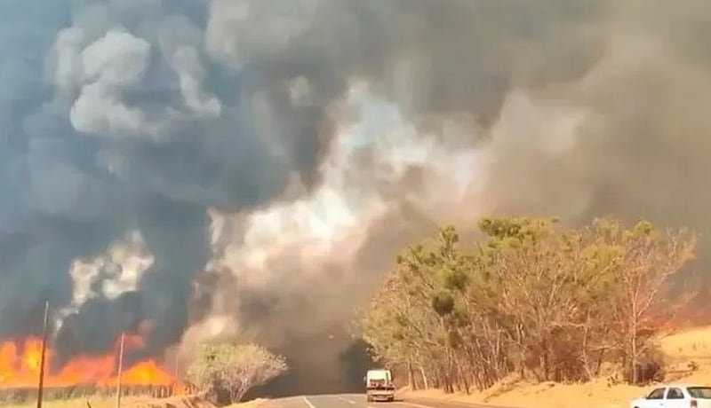 Governo diz que focos foram extintos