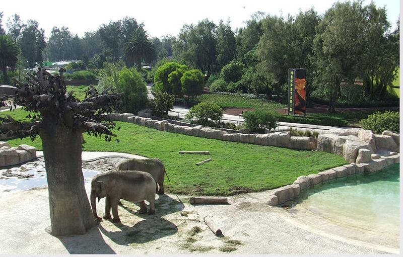 Zoológico de San Juan de Aragón