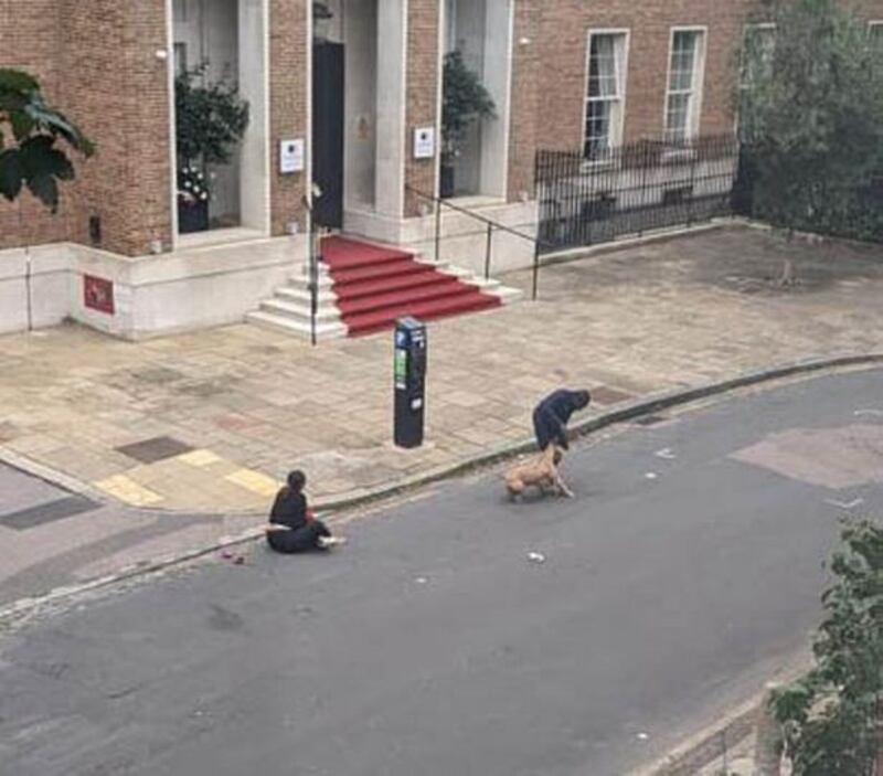 mãe protege criança do ataque