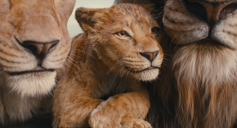 (L-R): Afia (voiced by Anika Noni Rose), Mufasa (voiced by Braelyn Rankins), and Masego (voiced by Keith David) in Disney’s live-action MUFASA: THE LION KING. Photo courtesy of Disney. © 2024 Disney Enterprises Inc. All Rights Reserved.