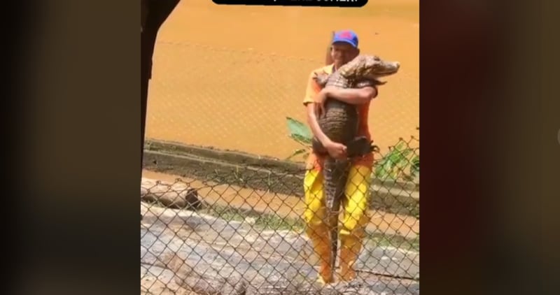 Vídeo mostra cena arriscada de homem dançando romanticamente com crocodilo