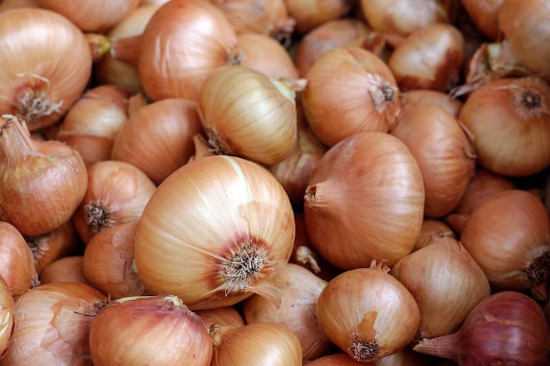 Quem são as pessoas que não devem comer muitas cebolas?