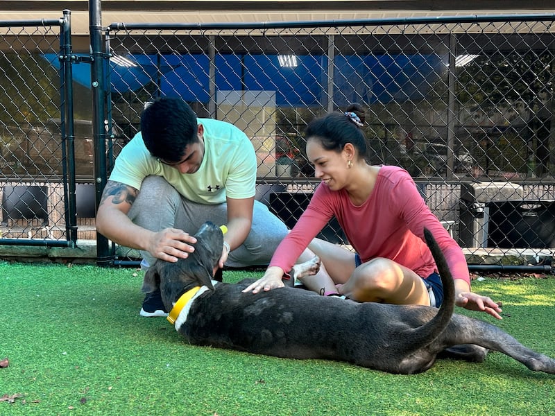 Milo e o casal que o adotou