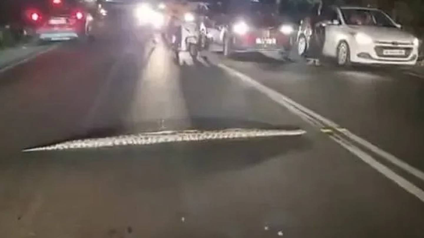 Vídeo mostra enorme píton que invadiu carro e parou o trânsito na Índia –  Metro World News Brasil