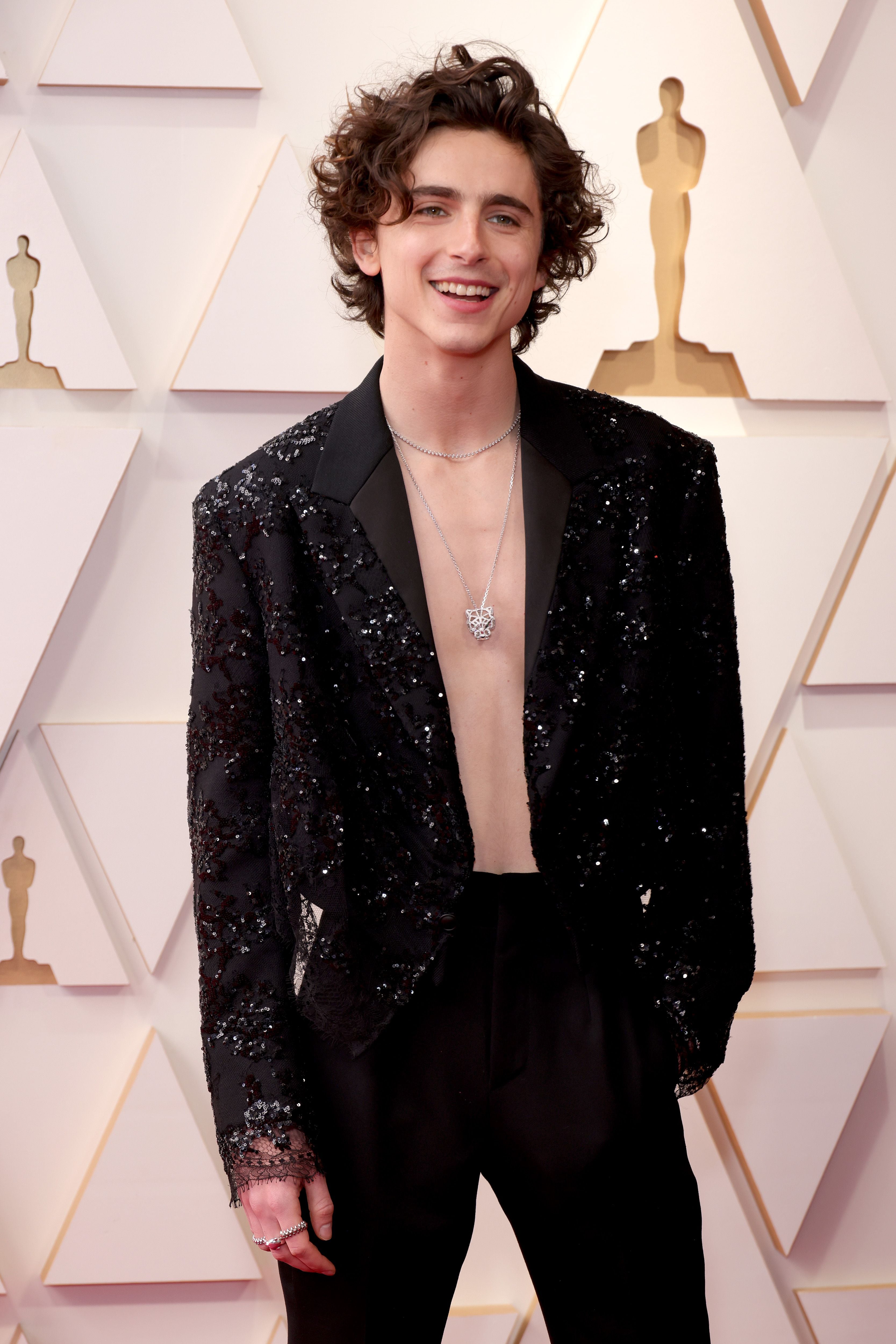 Timothée Chalamet é o homem mais bonito do mundo de 2023 – Metro World News  Brasil