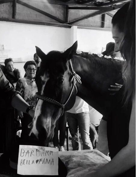 Festa do Peão de Barretos homenageia menina que morreu após cair de cavalo  em SC; VÍDEO, Santa Catarina